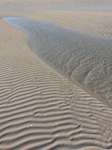 Bønnerup Havn og på besøg hos fiskemanden