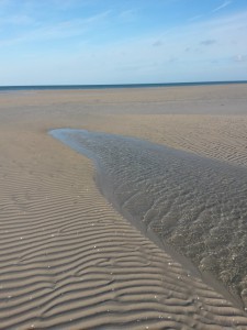 Bønnerup Havn og på besøg hos fiskemanden