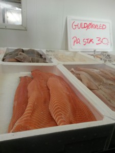 Bønnerup Havn og på besøg hos fiskemanden