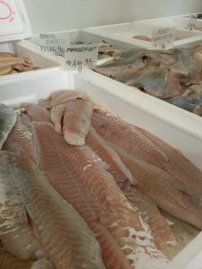 Bønnerup Havn og på besøg hos fiskemanden