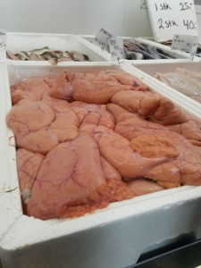 Bønnerup Havn og på besøg hos fiskemanden