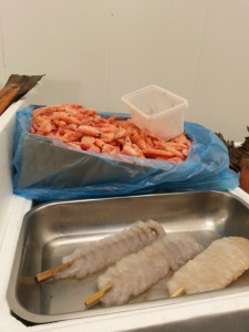 Bønnerup Havn og på besøg hos fiskemanden