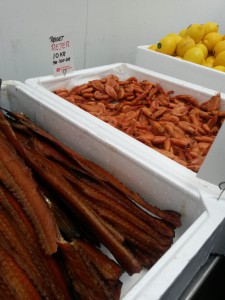 Bønnerup Havn og på besøg hos fiskemanden