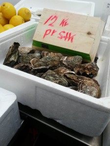 Bønnerup Havn og på besøg hos fiskemanden