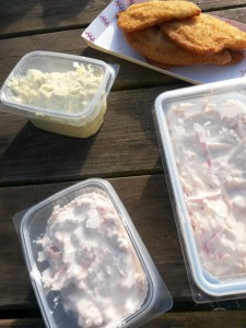 Bønnerup Havn og på besøg hos fiskemanden