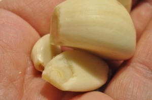 Champignonsovs nem lækker svampesauce