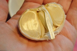 Spidsbryst i stegeso - langtidsstegt opskrift