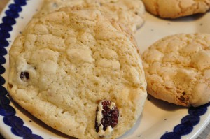 Nemme sprøde cookies med hvid chokolade og tranebær