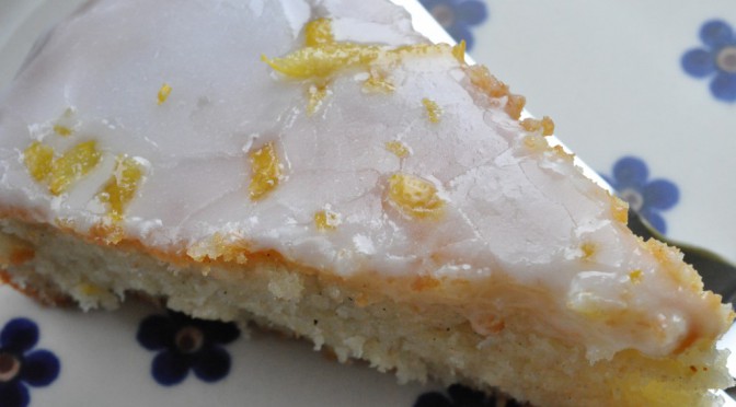 DSC_3384-672x372-1 • nogetiovnen.dk