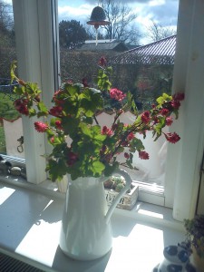 Konfirmation, grin, sol, limousine og en smuk glad pige