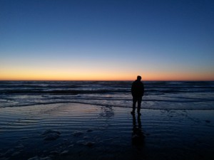 Keramikskatte, fisk ad libitum, hav og høj himmel