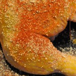 Paneret kylling med sennep og paprika - helstegt