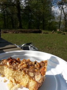 Toscakage med marcipan toscatærte opskrift