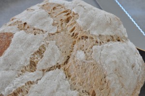 DSC_4858 • nogetiovnen.dk Hvidløgsbrød af brødrest - nem opskrift i ovn