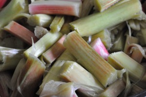 Sukkerfrit rabarbermarmelade med grønt melatin