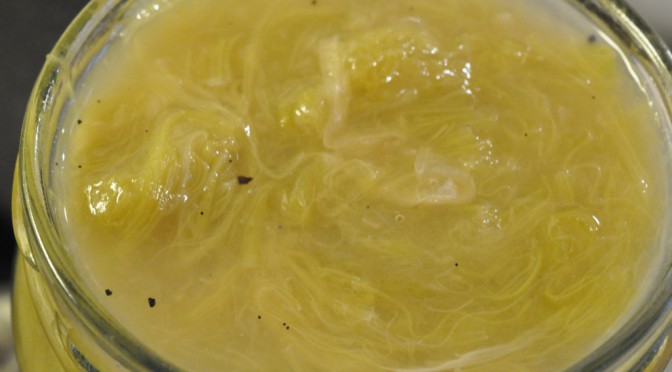 DSC_4892-672x372-1 • nogetiovnen.dk