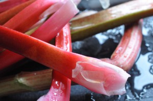 Rabarberkage med marcipan - nem fedtfattig kage