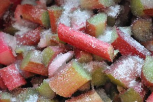 Rabarberkage med marcipan - nem fedtfattig kage med rabarber