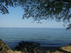 2014-04-26 16.09.38 • nogetiovnen.dk Havkig