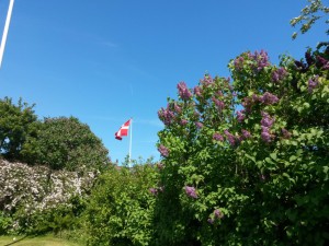 Bibliotekarhjerter der banker for...DIG!