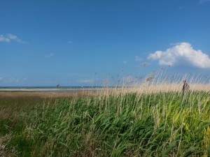 2015-06-06 14.14.37 • nogetiovnen.dk 2015-06-06 14.14.37