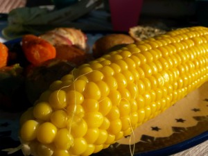 2015-06-09 19.40.36 • nogetiovnenstaging.com Majs og Kyllingefad med bacon og kartofler – nem ovnret med grønt