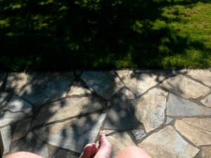 2015-06-12 15.12.19 • nogetiovnen.dk Grillede steaks, bønnesalat og sommerlykke i haven
