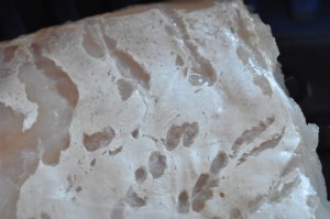 Torsk i folie og ovnbagt laks - opskrift på fisk i ovn