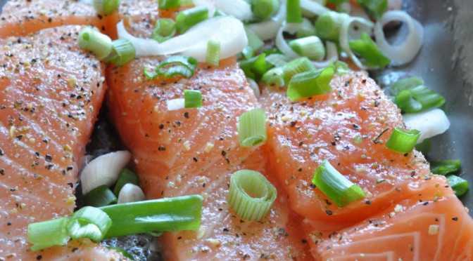 DSC_5473-672x372-1 • nogetiovnen.dk