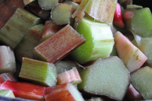 Rabarbercrumble med havregryn - nem opskrift med rabarber