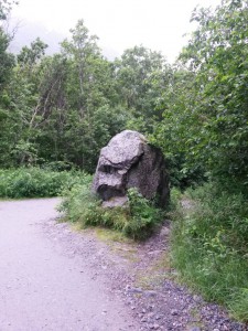 Eventyrligt smukke naturscenarier - Briksdalbreen