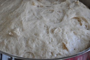 Boller med tipo 00 mel - lækre sandwich brød