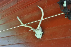 Sommerglimt fra fjeldhytten i Norge