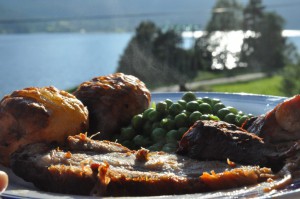 Sommerglimt fra fjeldhytten i Norge