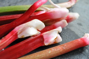 Rabarberkage med marcipan og kokosmel