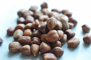 DSC_6440 • nogetiovnen.dk Hasselnødder