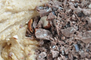 Cookie dough opskrift - Ben and Jerry's cookies