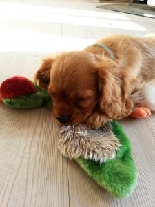 2015-08-14 07.23.54 • nogetiovnen.dk 2015-08-14 07.23.54