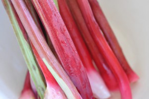 Rabarber