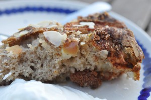 DSC_7413 • nogetiovnen.dk Hurtig æbletærte med marcipan og kanel