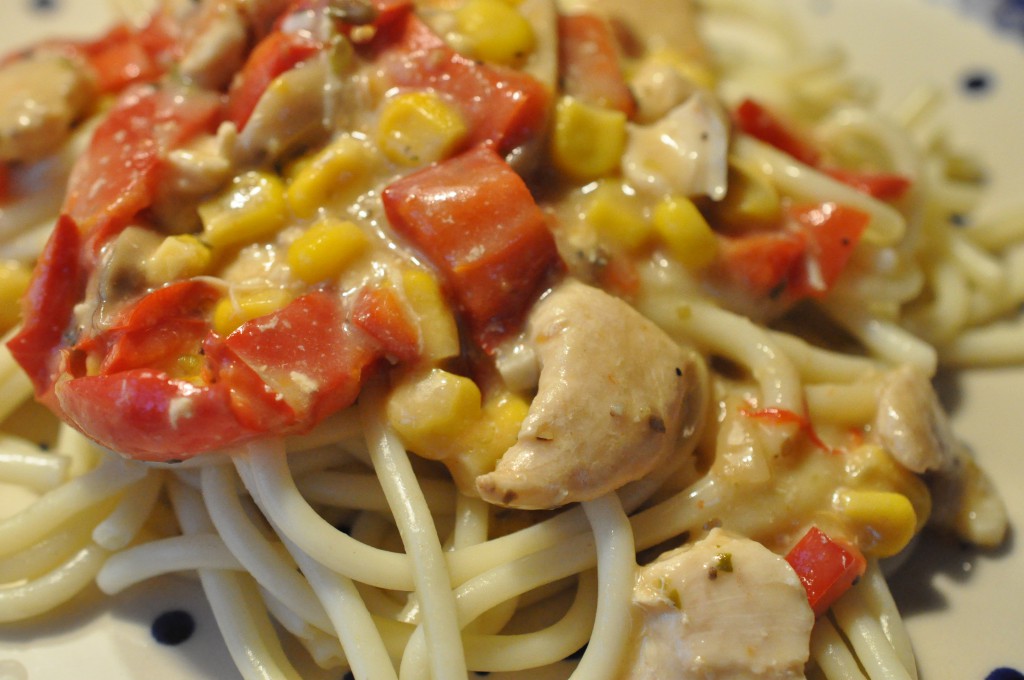 Kylling med ostesovs og pasta - nem gryderet