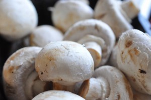 DSC_7557 • nogetiovnen.dk Champignon