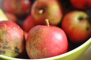 Kringle med æbler og marcipan - nem opskrift