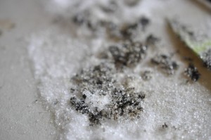 Æblemarmelade med vanilje - nem opskrift