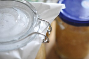 Æblemarmelade med vanilje - nem opskrift