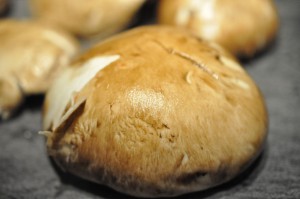 Svampesauce - sovs med portobello svampe