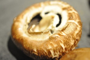 DSC_8834 • nogetiovnen.dk Svampesauce - sovs med portobello svampe