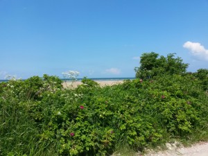 Stranden