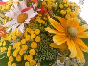 Blomster - tilbage til livet