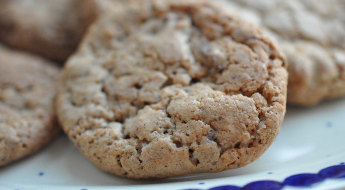 DSC_8974-672x372-1 • nogetiovnen.dk